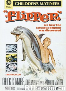 海豚飞宝 Flipper‎ (1963) 1080P BT磁力 迅雷网盘下载