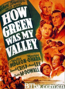 青山翠谷 How Green Was My Valley‎ (1941) 1080P BT磁力 迅雷网盘下载