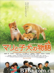 爱犬的奇迹 マリと子犬の物語‎ (2007) 1080P BT磁力 迅雷网盘下载