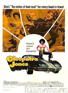 女金刚斗狂龙女 Cleopatra Jones and the Casino of Gold‎ (1975) 1080P BT磁力 迅雷网盘下载
