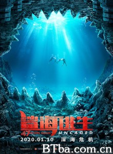 鲨海逃生 鲨海47米：狂鲨出笼(港) 绝鲨47：猛鲨出笼(台) (2020) 1080P/720P BT磁力 迅雷网盘下载