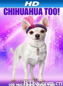 Chihuahua Too!‎ (2013) 1080P BT磁力 迅雷网盘下载