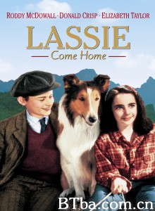 灵犬莱西 Lassie Come Home‎ (1943) 1080P BT磁力 迅雷网盘下载