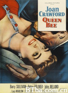 女王蜂/辣手女王蜂(台)/Queen Bee‎-720p|1080p高清bt种子下载