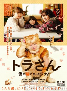 虎先生 トラさん～僕が猫になったワケ～‎ (2019) 1080P BT磁力 迅雷网盘下载