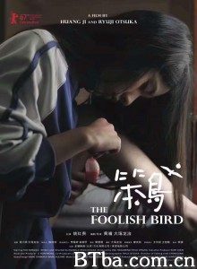 笨鸟‎ (2017) 1080P BT磁力 迅雷网盘下载