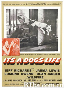 狗脸人生 It's a Dog's Life‎ (1955) 1080P BT磁力 迅雷网盘下载
