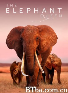 大象女王/The Elephant Queen‎