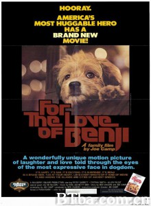狗侦探 For the Love of Benji‎ (1977) 1080P BT磁力 迅雷网盘下载