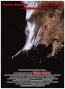 野猪/Wild Boar‎