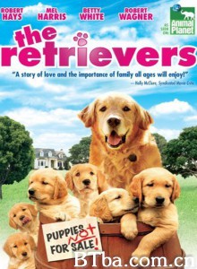 流浪犬 The Retrievers‎ (2001) 1080P BT磁力 迅雷网盘下载