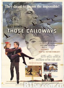 翠谷天伦 Those Calloways‎ (1965) 1080P BT磁力 迅雷网盘下载