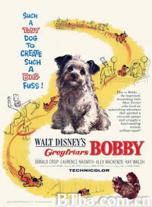 绿野小英雄 Greyfriars Bobby‎ (1961) 1080P BT磁力 迅雷网盘下载