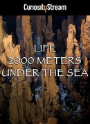 两千米深海生命/Life 2000 Meters Under The Sea‎