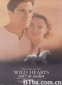 跃马英雄 Wild Hearts Can't Be Broken‎ (1991) 1080P BT磁力 迅雷网盘下载