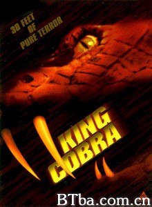 眼镜王蛇 King Cobra‎ (1999) 1080P BT磁力 迅雷网盘下载