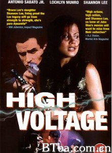 高压重犯 High Voltage‎ (1997) 1080P/720P BT磁力 迅雷网盘下载