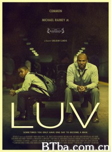 爱 LUV‎ (2012) 1080P/720P BT磁力 迅雷网盘下载