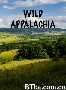 阿巴拉契亚自然写真 Wild Appalachia‎ (2013) 1080P BT磁力 迅雷网盘下载