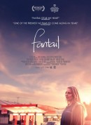 扇尾鸽/Fantail‎