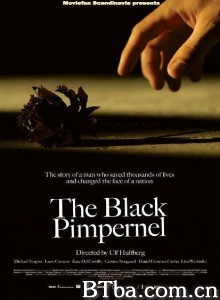 黑色繁笺花 全面交戰(台) The Black Pimpernel‎ (2007) 1080P BT磁力 迅雷网盘下载