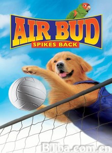 飞狗巴迪5：排球健将 Air Bud: Spikes Back‎ (2003) 1080P BT磁力 迅雷网盘下载