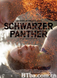黑豹 Schwarzer Panther‎ (2014) 1080P BT磁力 迅雷网盘下载