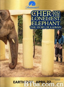 Cher and the Loneliest Elephant‎ (2021) 1080P BT磁力 迅雷网盘下载