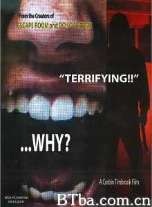 为何追杀我/Why?‎-720p|1080p高清bt种子下载