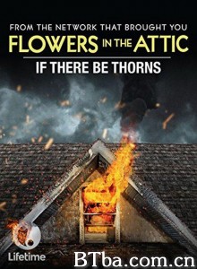 如果有荆棘 If There Be Thorns‎ (2015) 1080P BT磁力 迅雷网盘下载