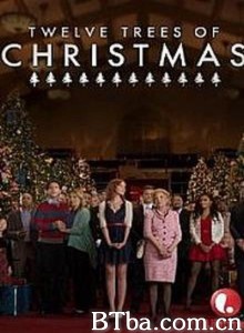十二棵圣诞树 Twelve Trees of Christmas‎ (2013) 1080P BT磁力 迅雷网盘下载