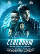 记忆误区/Cerebrum‎