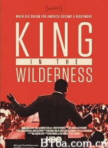 在野之金 King in the Wilderness‎ (2018) 1080P BT磁力 迅雷网盘下载-影音屋