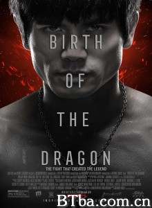 龙之诞生 Birth of the Dragon‎ (2016) 1080P/720P BT磁力 迅雷网盘下载