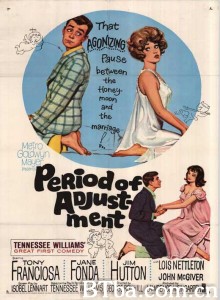 调整时期 Period of Adjustment‎ (1962) 1080P BT磁力 迅雷网盘下载