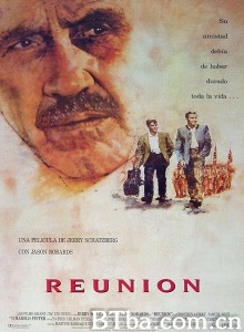 团圆 Reunion‎ (1989) 1080P BT磁力 迅雷网盘下载