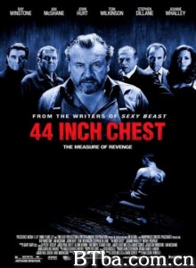 44英寸的胸围 44 Inch Chest‎ (2009) 1080P BT磁力 迅雷网盘下载