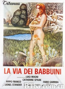 狒狒的方式 La via dei babbuini‎ (1974) 1080P BT磁力 迅雷网盘下载
