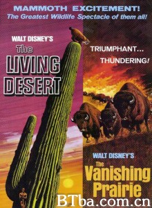 沙漠奇观 The Living Desert‎ (1953) 1080P BT磁力 迅雷网盘下载-影音屋