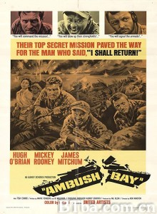 激战伏兵湾 Ambush Bay‎ (1966) 1080P/720P BT磁力 迅雷网盘下载