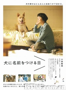 为你取名的那一天 犬に名前をつける日‎ 狗狗没有家(台) (2015) 1080P/720P BT磁力 迅雷网盘下载