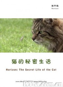 BBC地平线：猫的秘密生活 猫咪的秘密生活 喵星人日记 Horizon: The Secret Life of the Cat (2013) 1080P BT磁力 迅雷网盘下载-影音屋