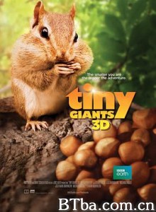 小巨人 3D Tiny Giants 3D (2014) 1080P/4K BT磁力 迅雷网盘下载