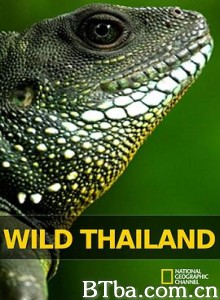 野性泰国 Wild Thailand (2013) 1080P BT磁力 迅雷网盘下载-影音屋