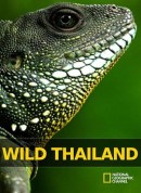 野性泰国/Wild Thailand