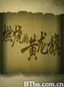 燃烧的黄龙旗 (2008) 1080P BT磁力 迅雷网盘下载-影音屋