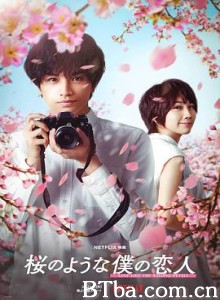 我的樱花恋人/桜のような僕の恋人-720p|1080p高清bt种子下载