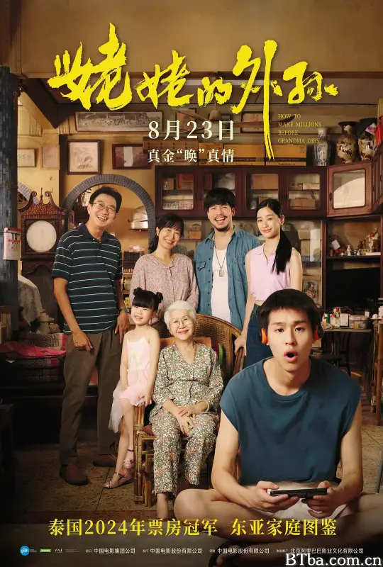 姥姥的外孙/全职乖孙(港)/金孙爆富攻略(台)/The Chinese Family/How to Make Millions Before Grandma Dies‎/阿嬷的孙儿/หลานม่า