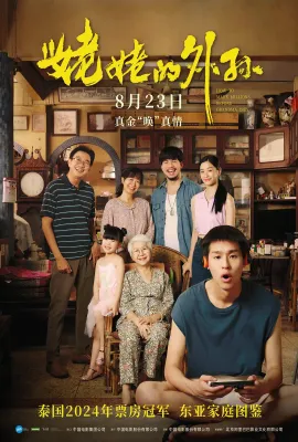 姥姥的外孙/全职乖孙(港)/金孙爆富攻略(台)/The Chinese Family/How to Make Millions Before Grandma Dies‎/阿嬷的孙儿/หลานม่า