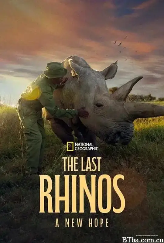 最后的犀牛：新希望 The Last Rhinos: A New Hope (2025) 1080P/4K BT磁力 迅雷网盘下载-影音屋